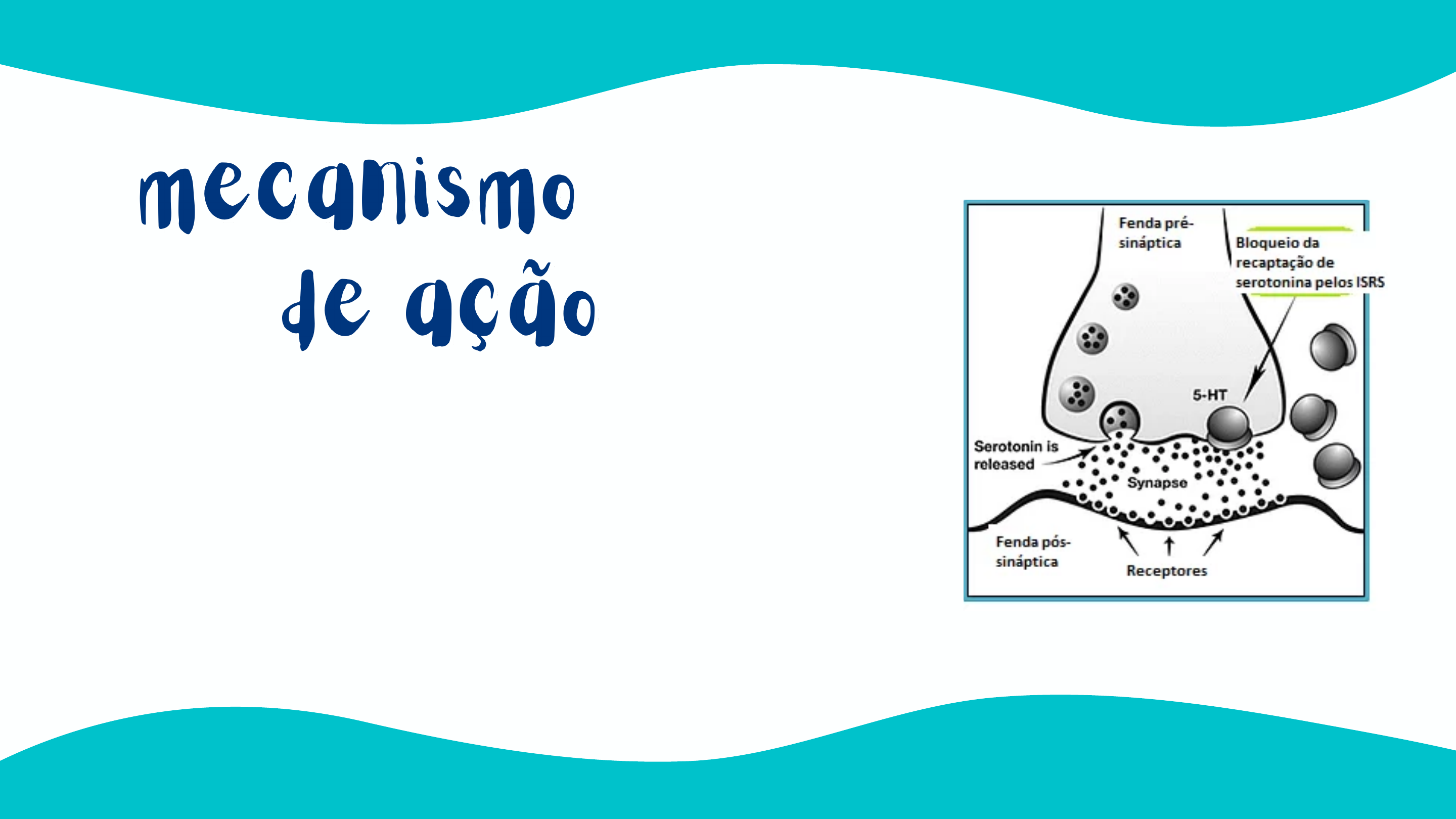 WebFarmacêutica - 💊A fluoxetina e a sibutramina são fármacos que pertencem  à classe de medicamentos inibidores seletivos da recaptação de serotonina.  Ou seja, ao atuarem, inibem a proteína que se localiza no