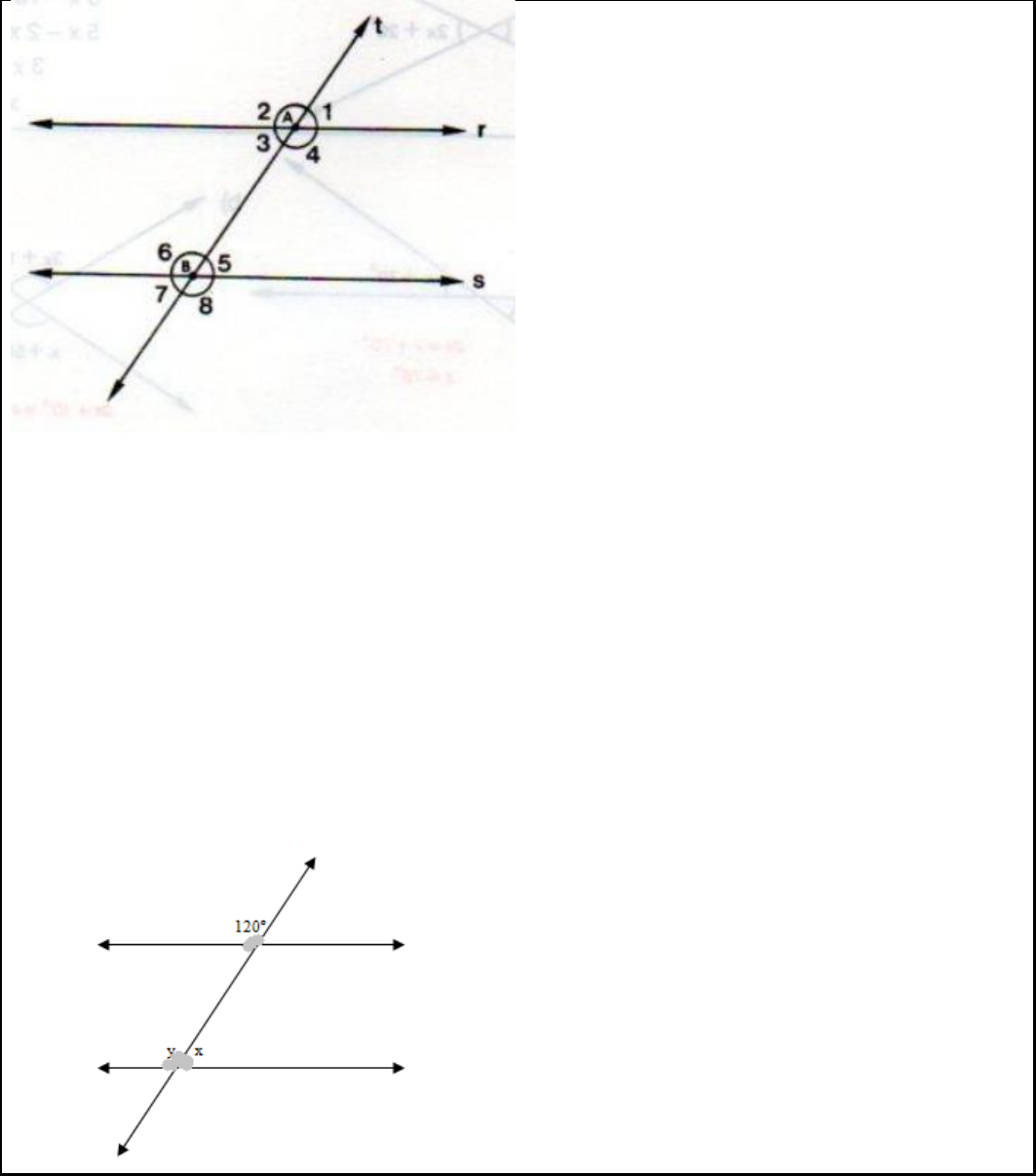 APOSTIL 4 - respostas - Matemática