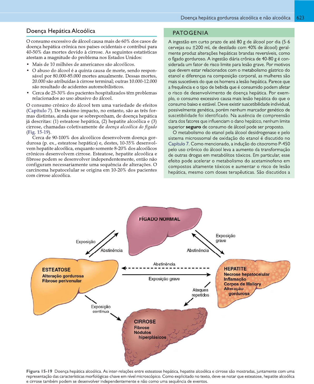 Esteatose hepática alcoólica e não alcoólica Patologia I Esteatose hepática alcoólica e não alcoólica Patologia I