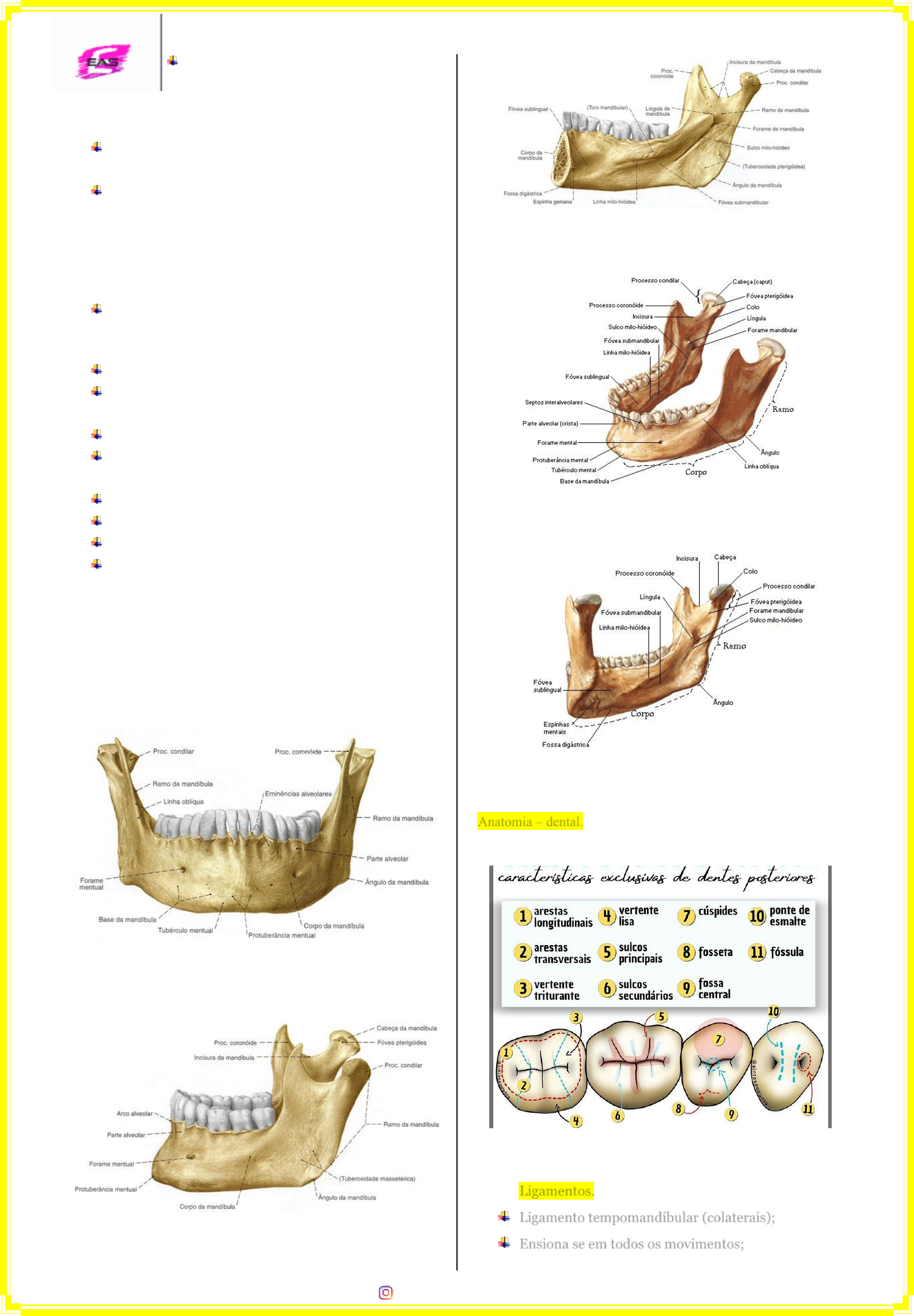 movintos mandibu by Endo unictangara - Issuu