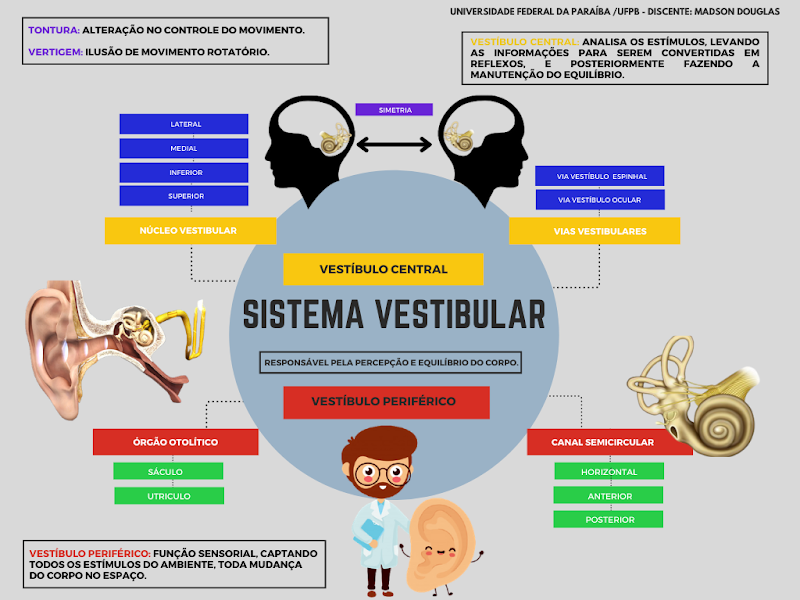Sistema Vestibular E Equilibrio