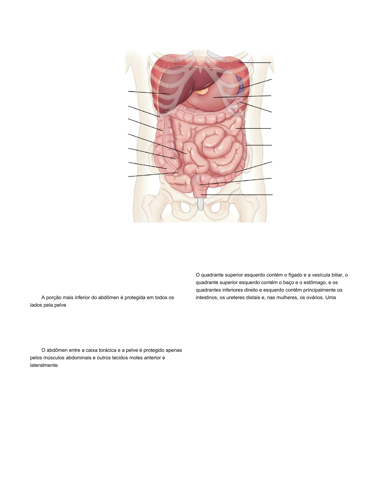 PHTLS - Cap 11 Trauma Abdominal - Emergências