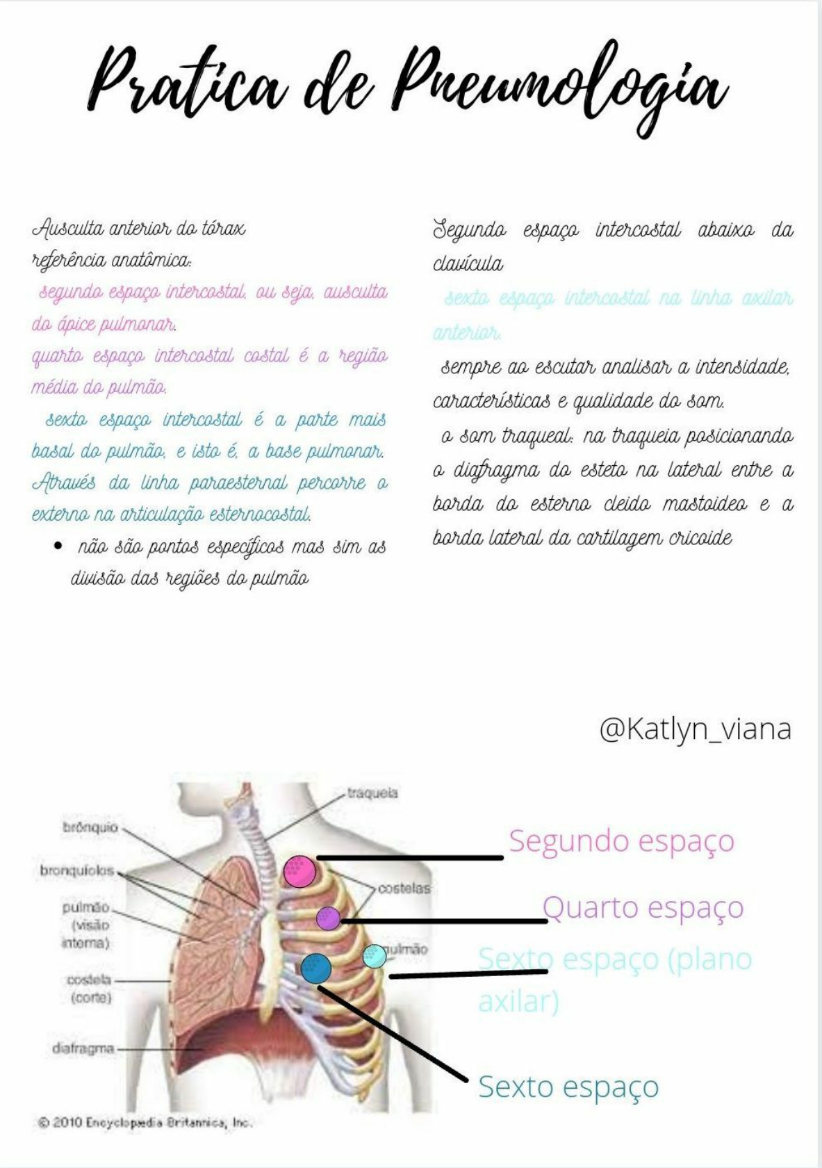 Pontos De Ausculta Pulmonar