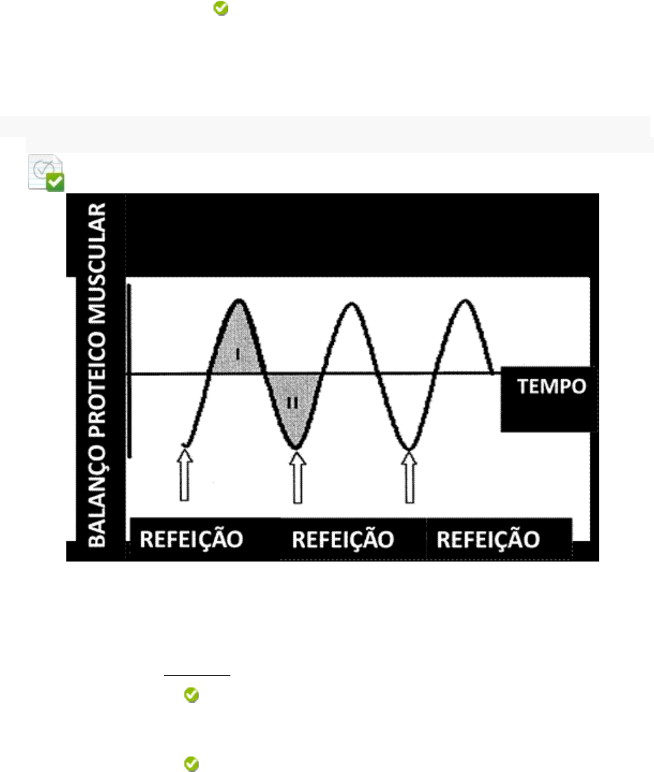 Oxigênio Nutrição Esportiva - Sem essa de cansaço, vem treinar! O Danger  Elite é um anticatabólico, queimador de gordura e ajuda no ganho de massa  magra, com deliciosos sabores MELANCIA E LARANJA!