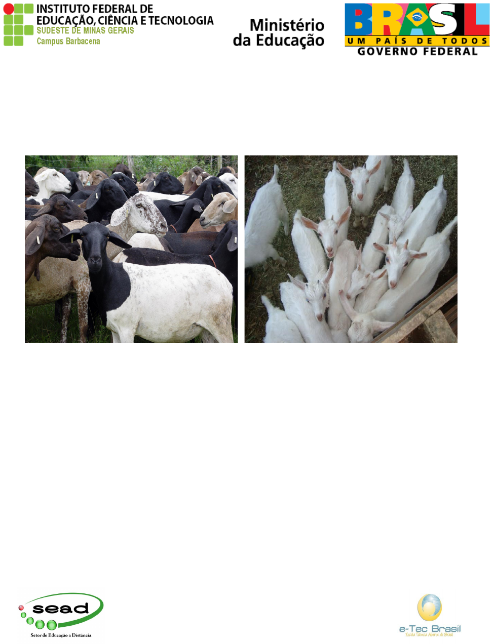 Convert to PDF, image size:975x1272