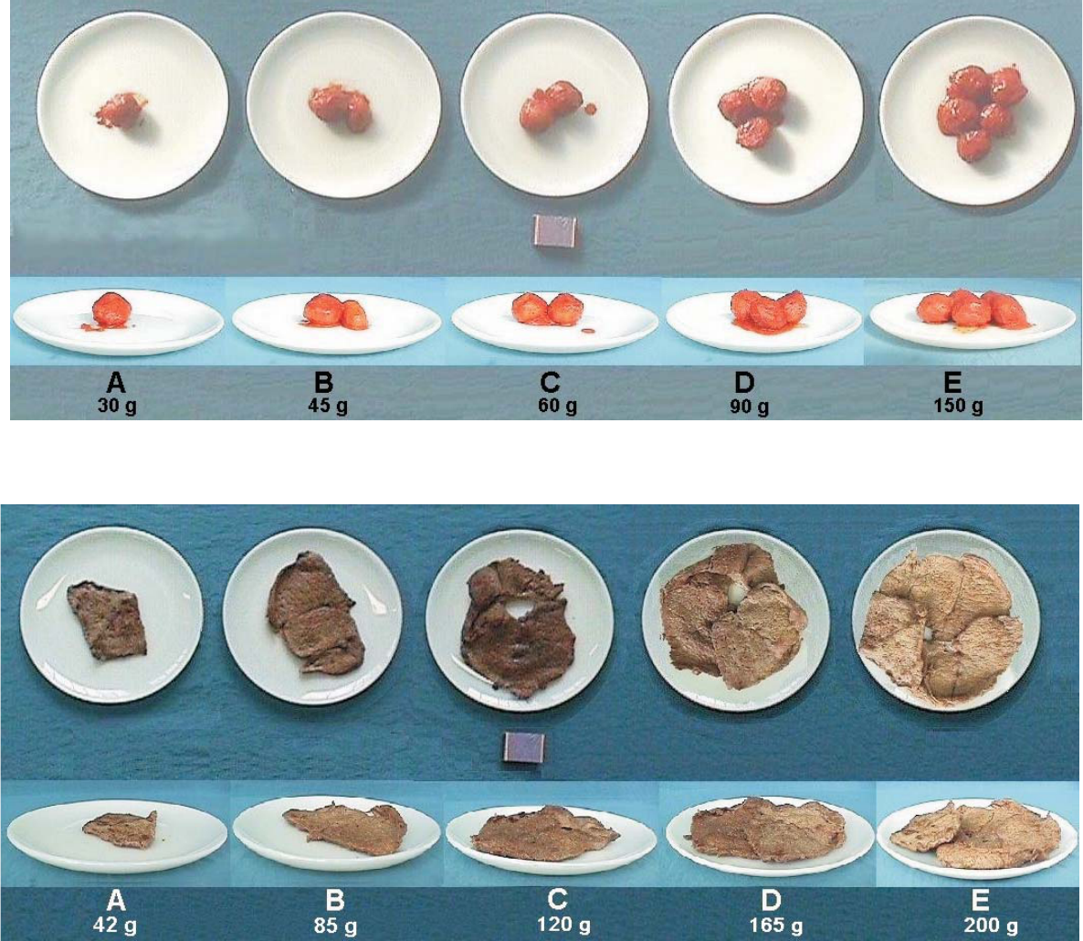 Adelante Contemporáneo frontera Album fotografico porções - Nutrição, Composição de Alimentos,nutrição e  Diete