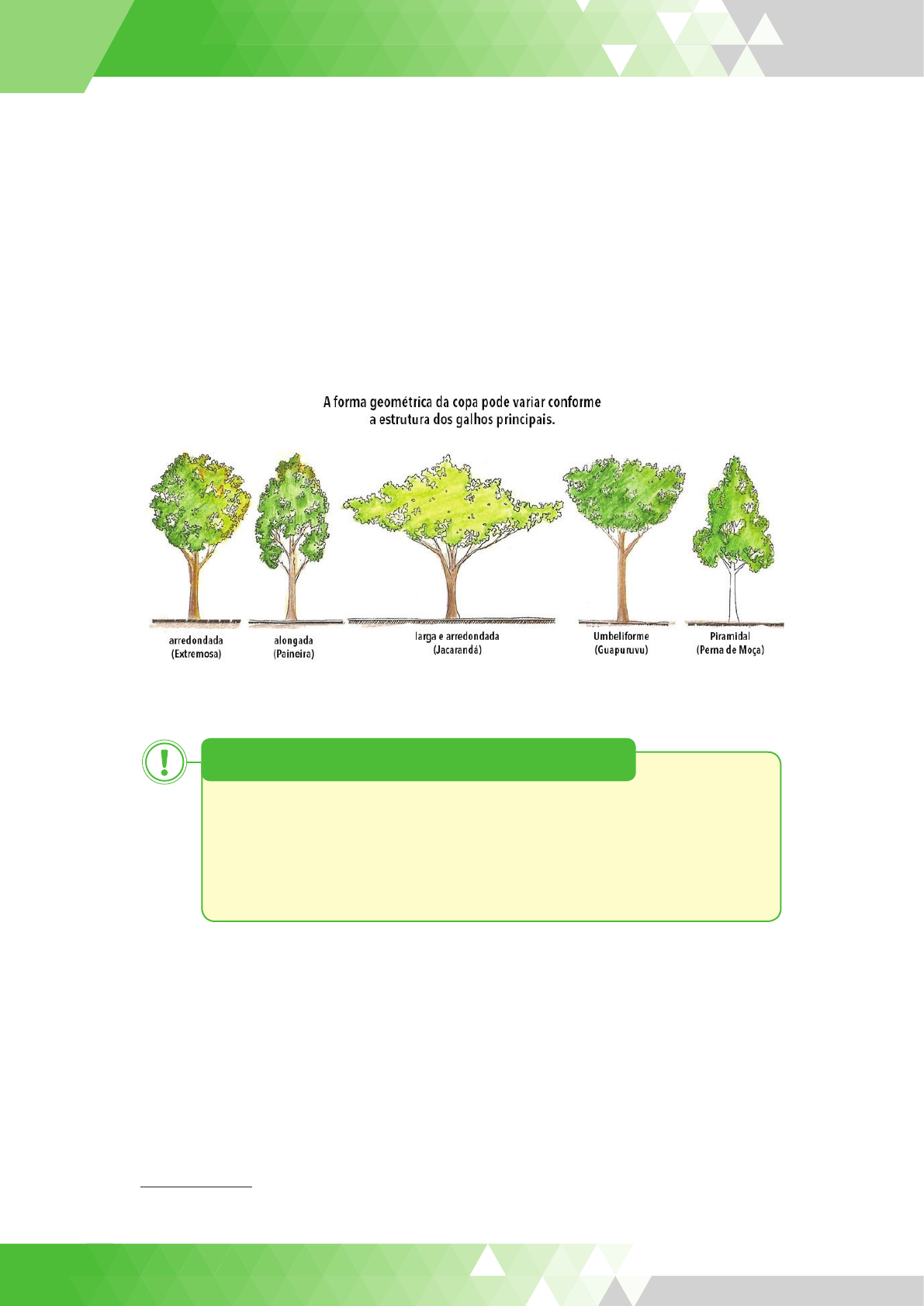 Representações gráficas para paisagismo: algumas sugestões