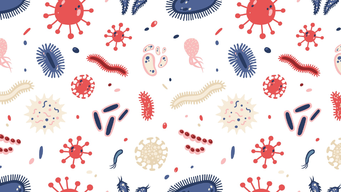 Grátis: 01 - Reino Monera (1) - Material Claro e Objetivo em PDF para  Estudo Rápido