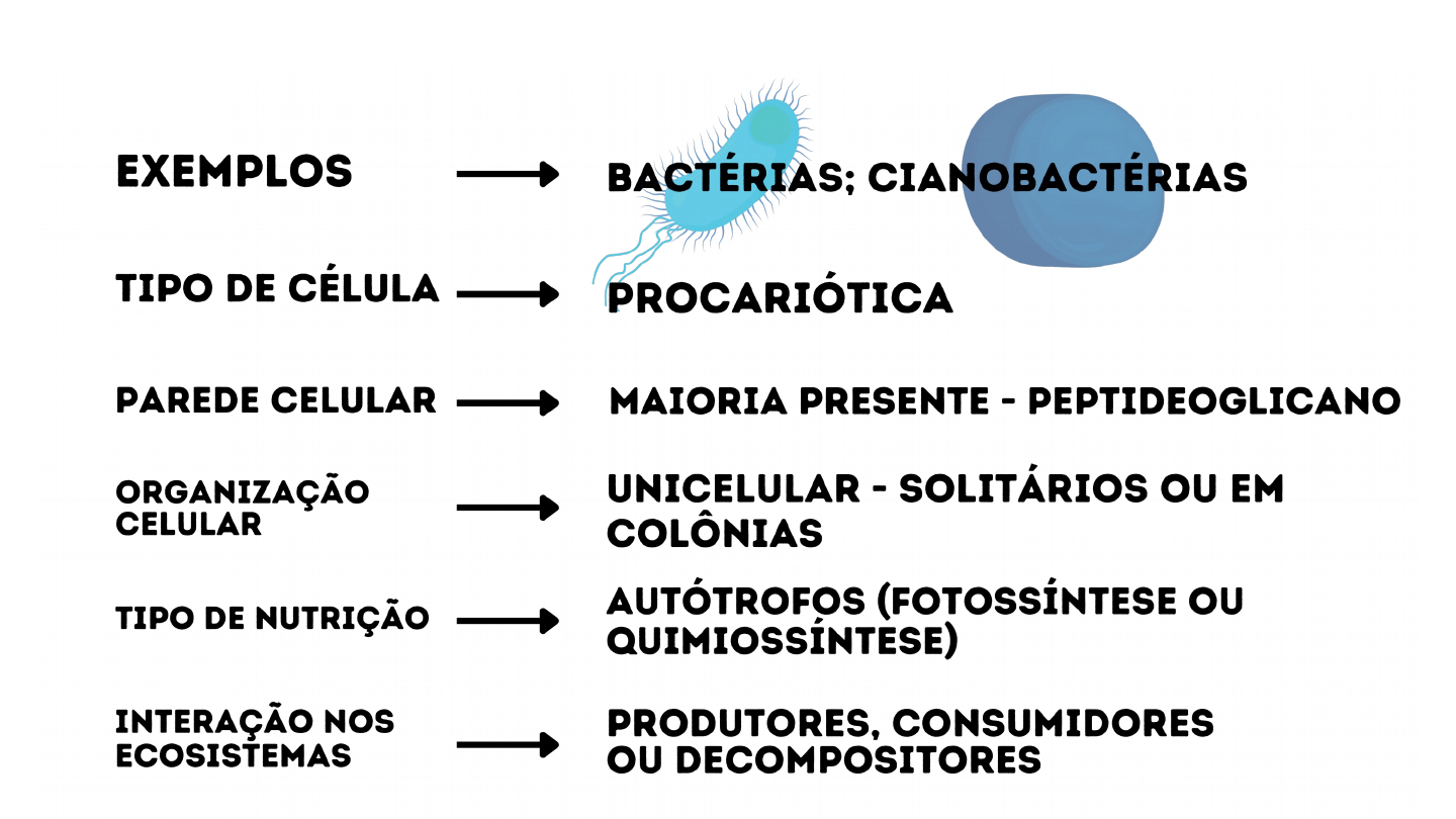 Grátis: 01 - Reino Monera (1) - Material Claro e Objetivo em PDF para  Estudo Rápido