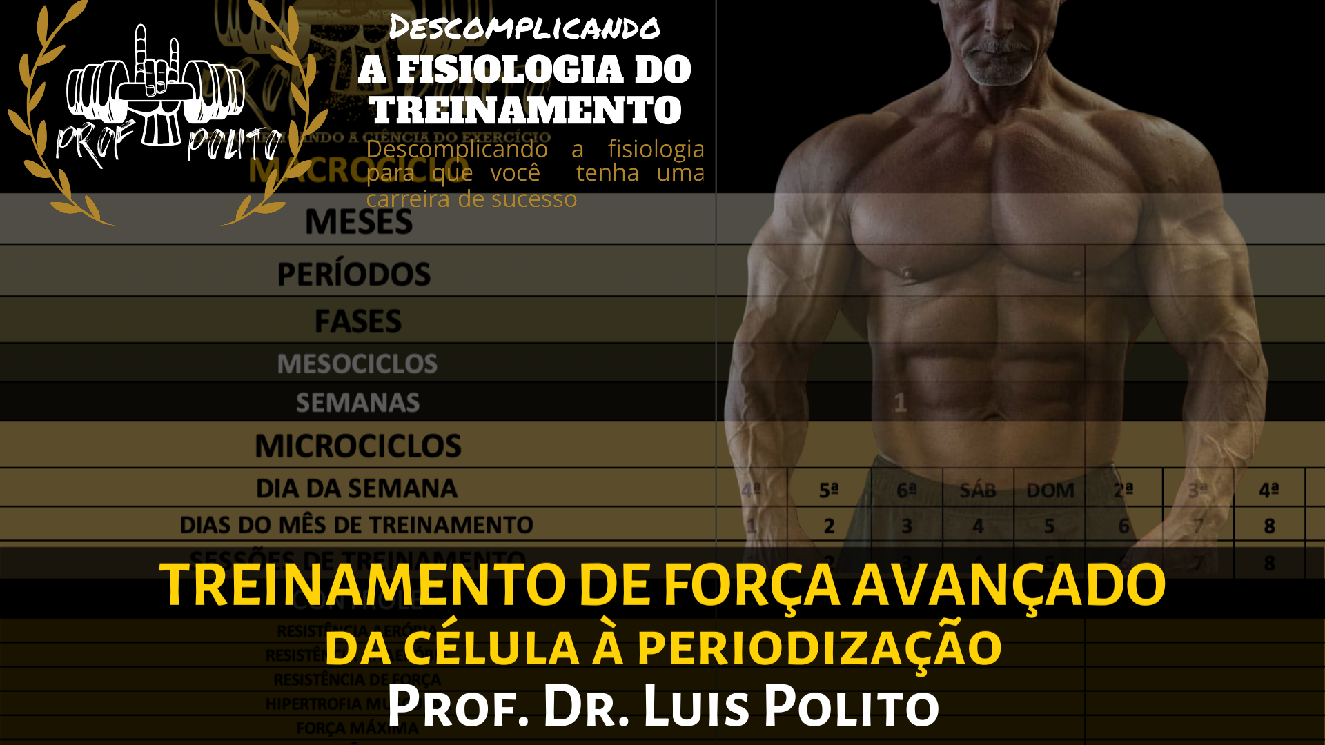 8 semanas de treino de força em homens e mulheres pdf - Fisiologia do  Exercício