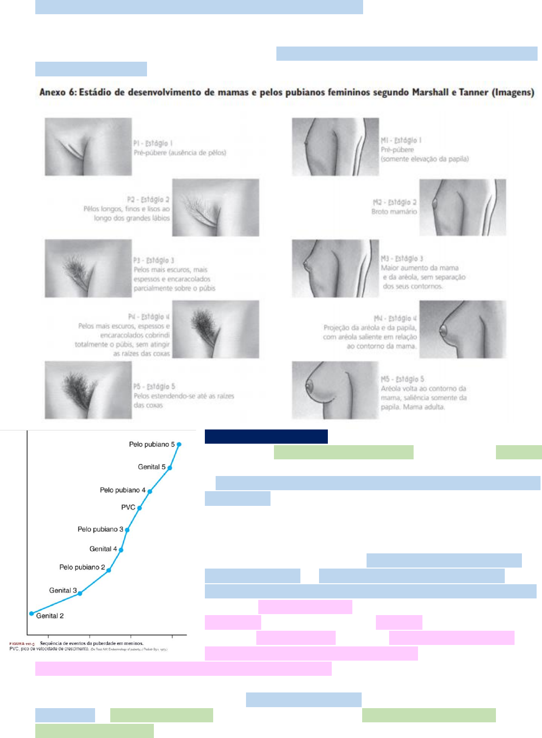 Grátis: S8M1T5 - PUBERDADE PRECOCE E HAB - Material Claro e Objetivo em PDF  para Estudo Rápido, image size:1106x1507