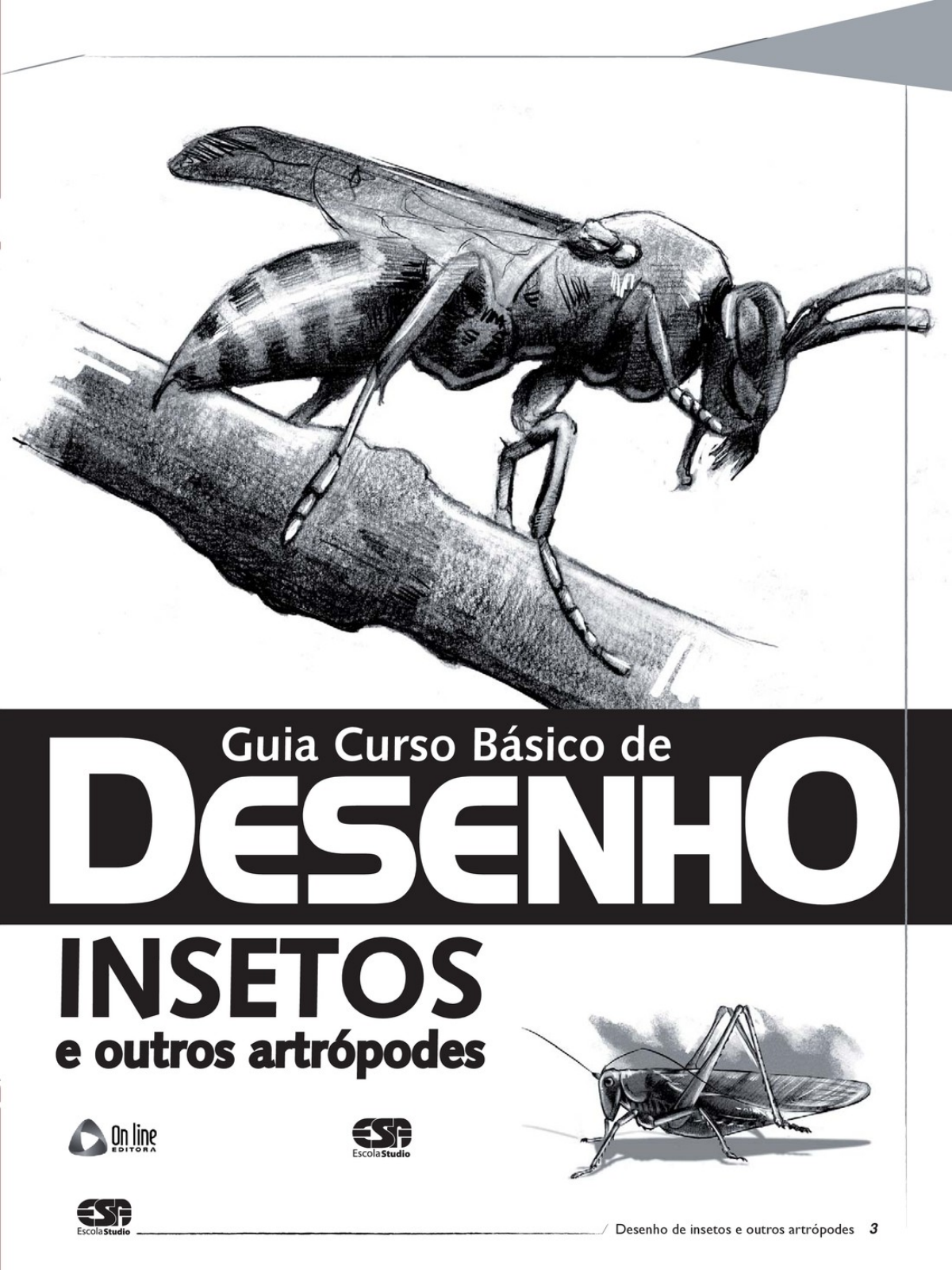 Guia Curso Básico De Desenho Insetos E Outros Artrópodes Ed 01 2016 Desenho Básico