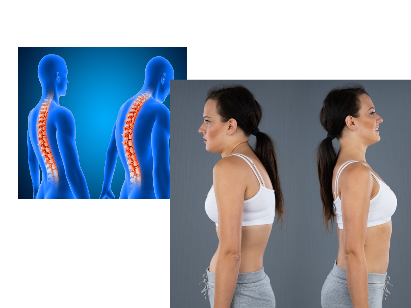 Grátis: Apresentação20disfunções - Material Claro e Objetivo em PDF para  Estudo Rápido, image size:1440x1080