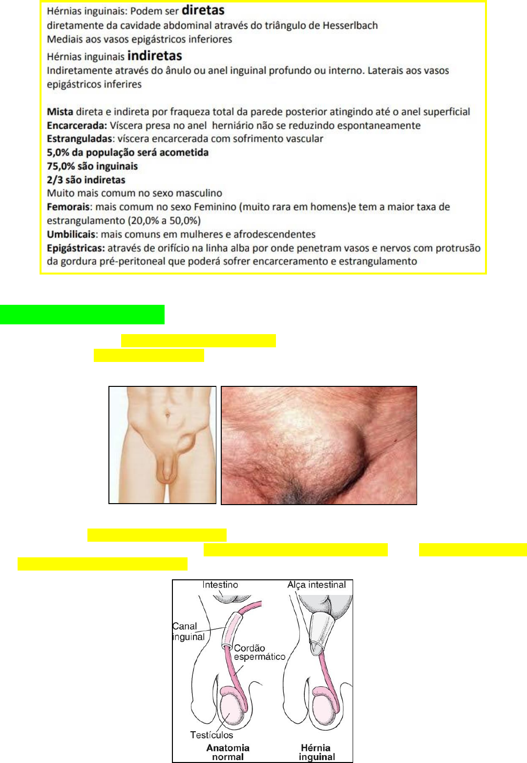 Hérnias inguinais e da parede abdominal - Cirurgia