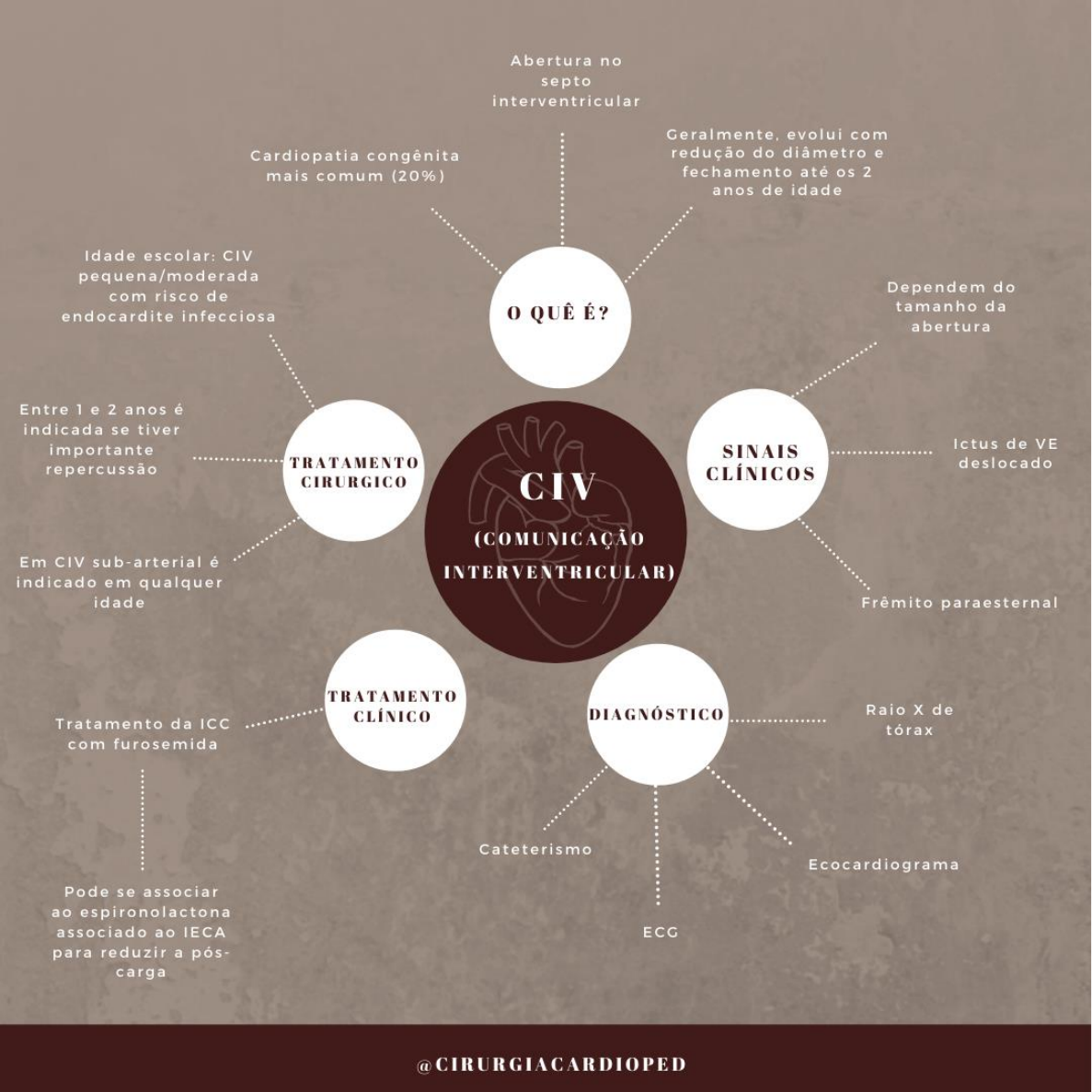 Comunica O Interatrial Cia E Comunica O Interventricular Civ Cardiologia I