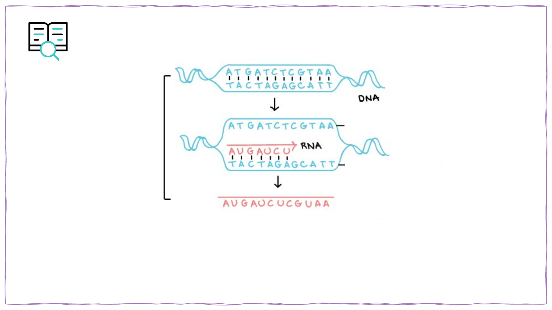 Imagens vetoriais de Transcrição gênica | DepositPhotos, image size:1920x1080