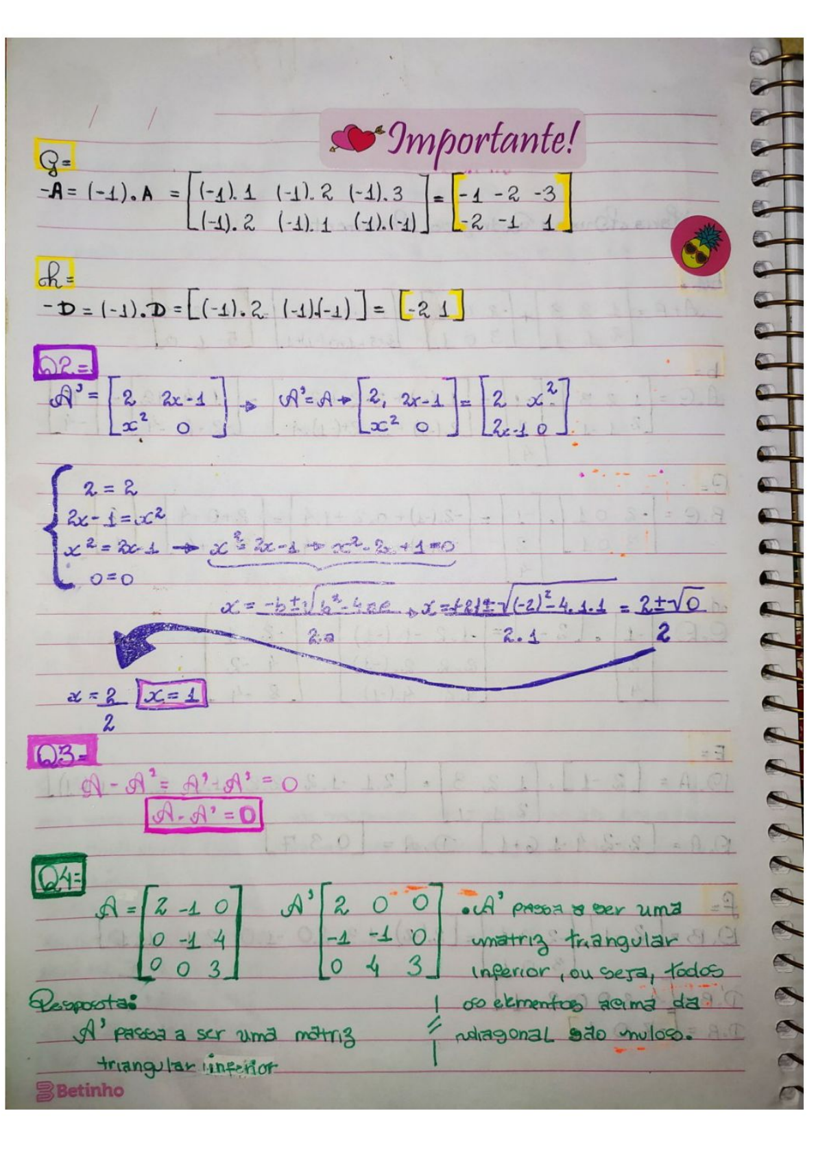 Lista 1 De álgebra Linear Mat499167 - Álgebra Linear I