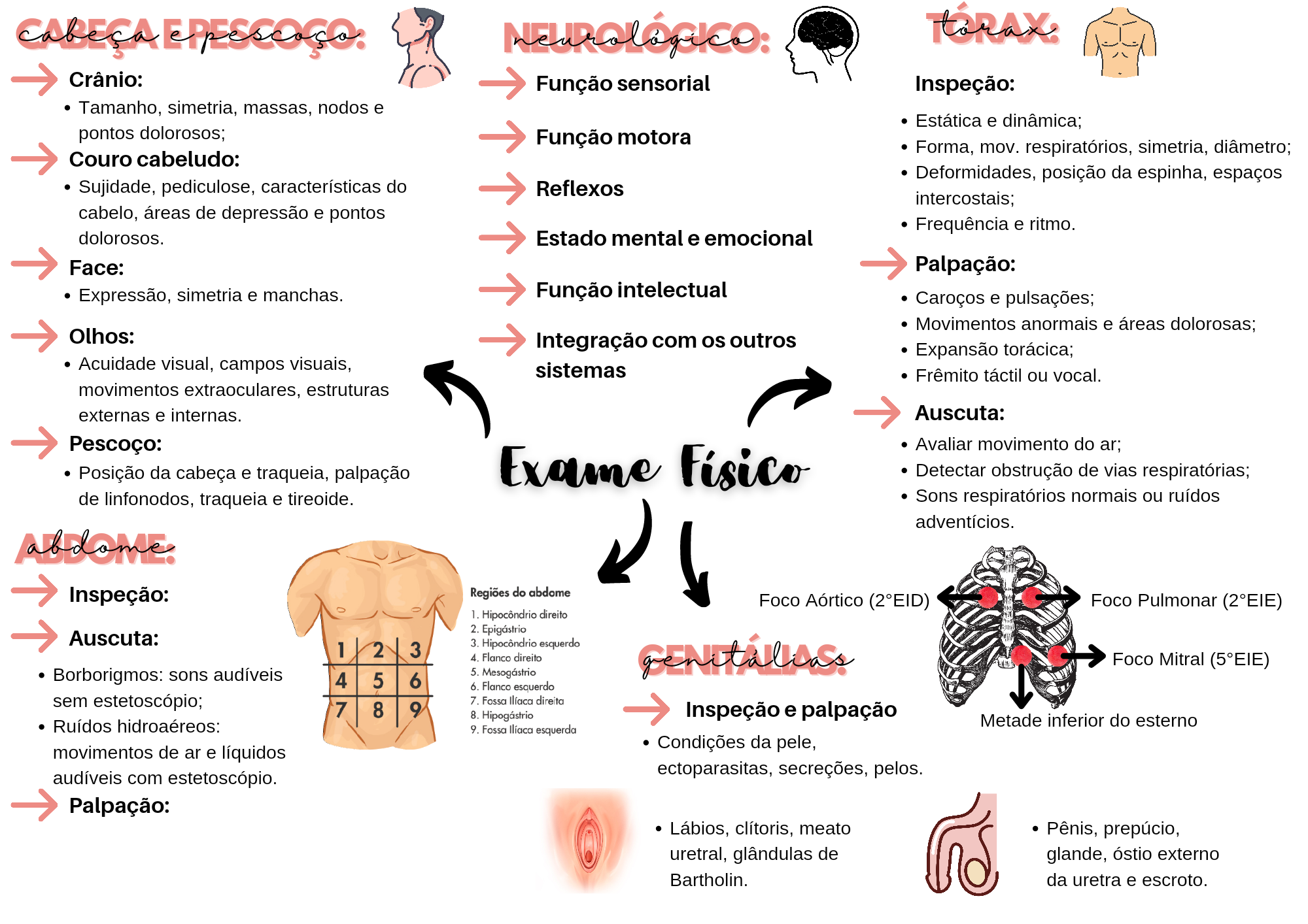 Exame Físico Exemplo De Evolução De Enfermagem Cefalo Caudal