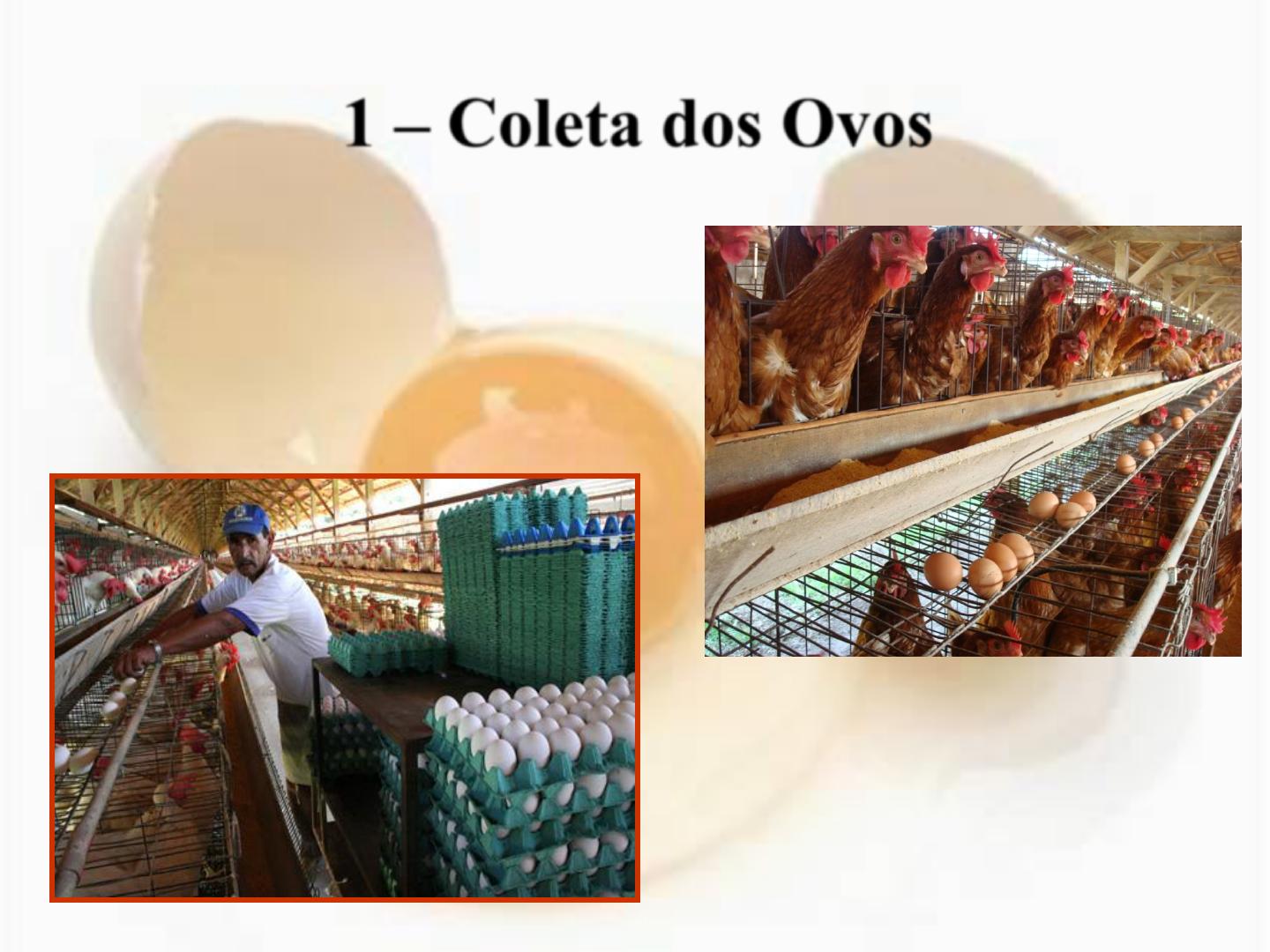 Featured image of post Ovo Trincado Png
