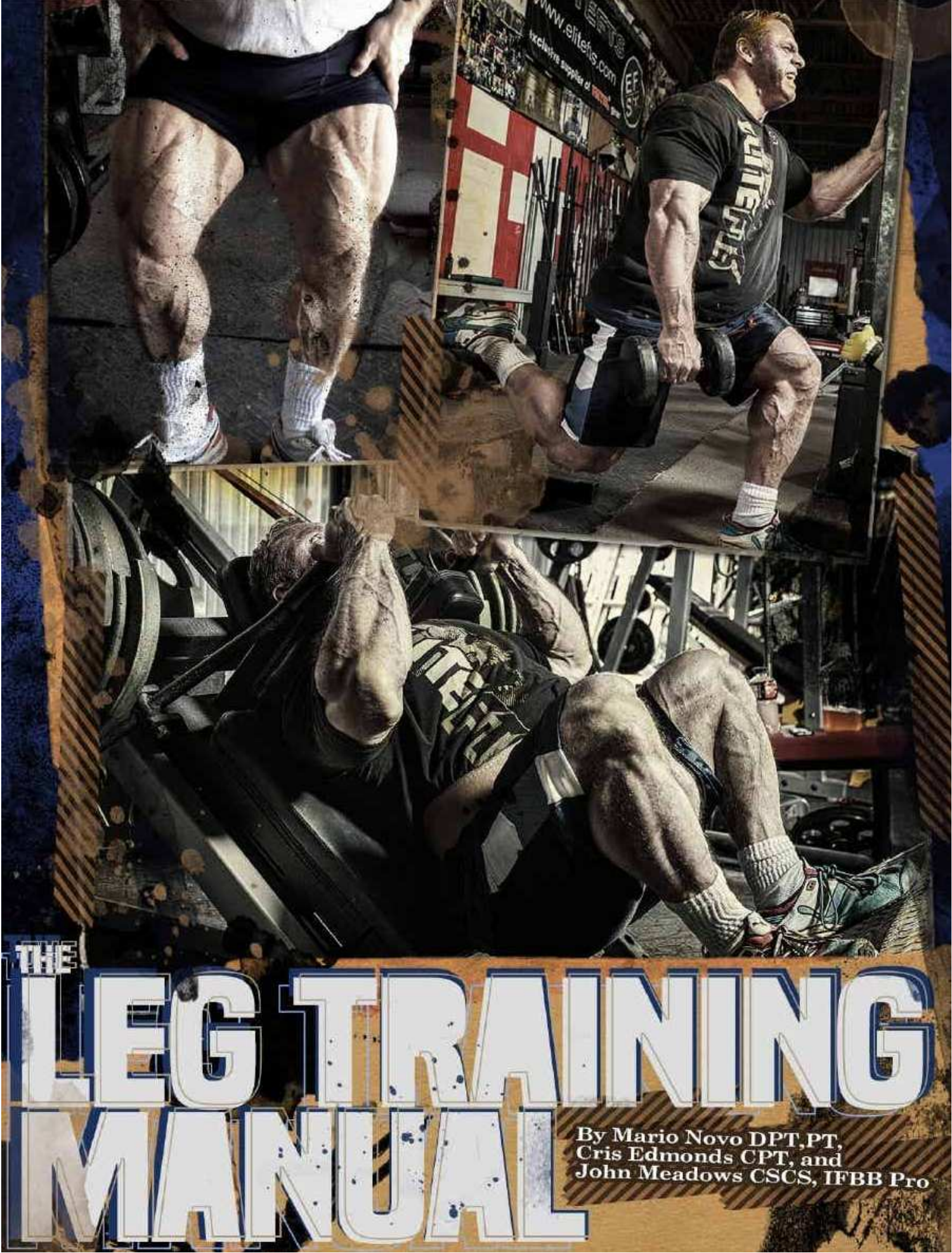 tom platz leg training manual tom platz leg training manual