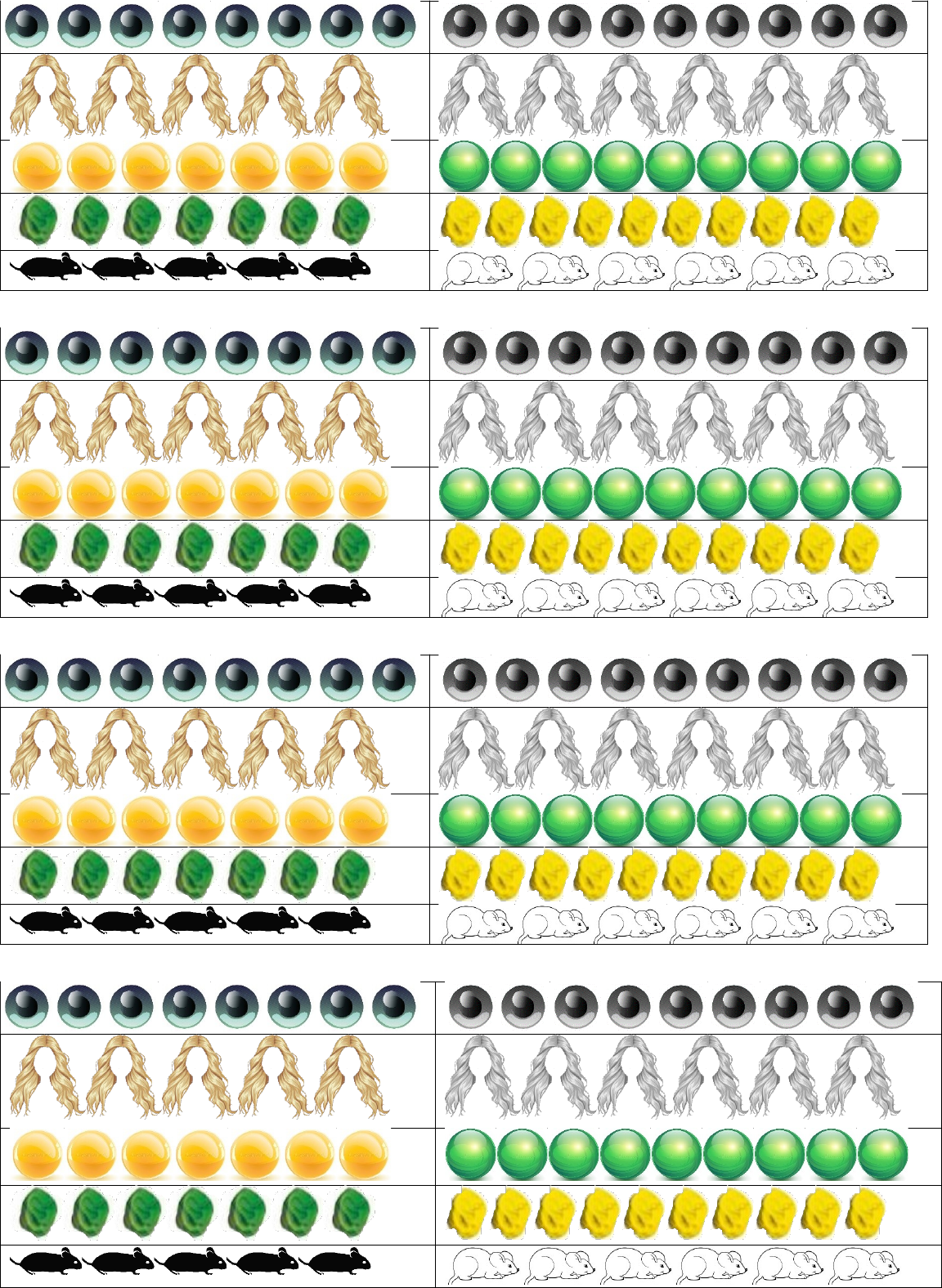 Quiz de ciências da natureza worksheet