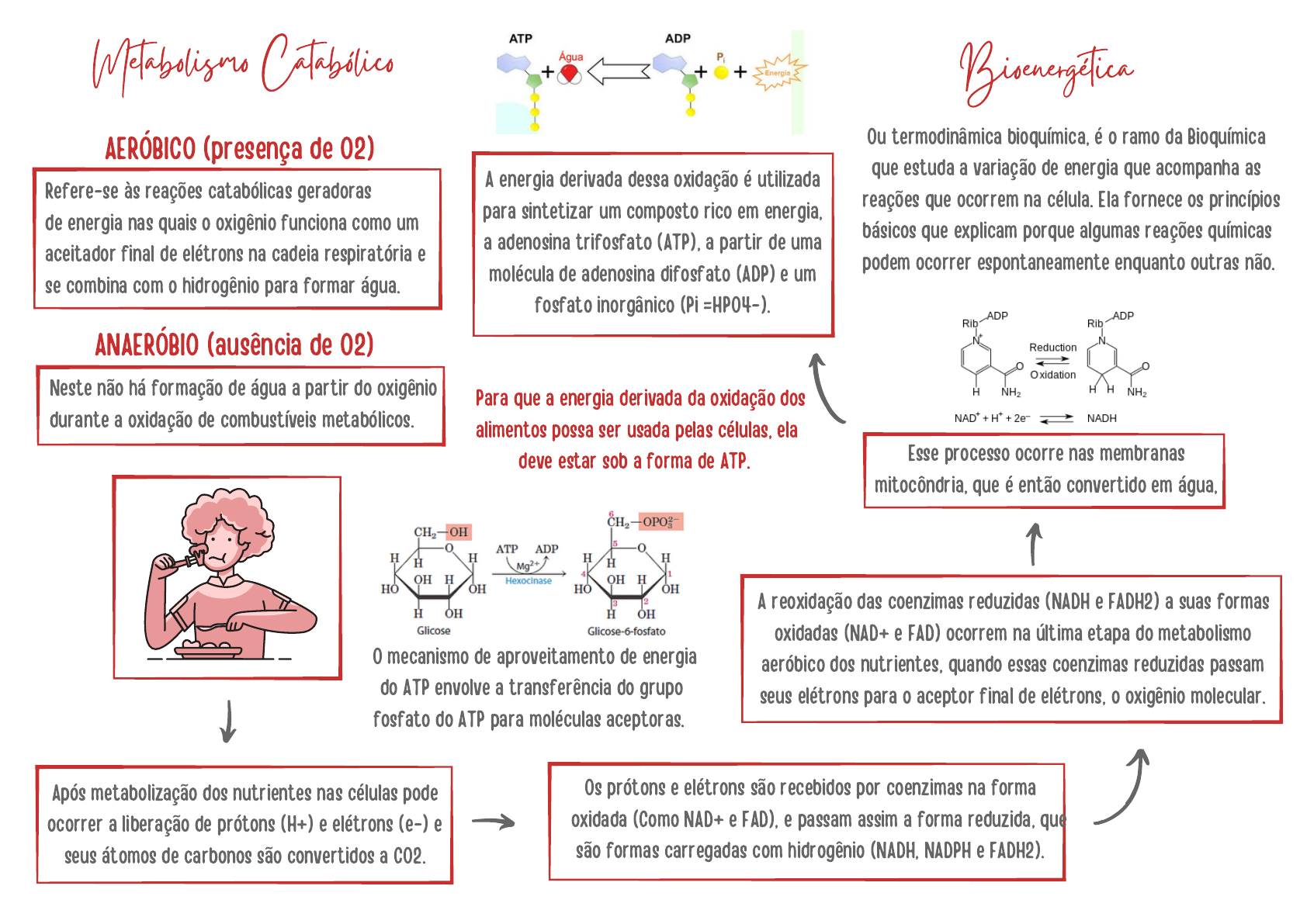 Bioenergética - Mapa Mental - Bioquímica I