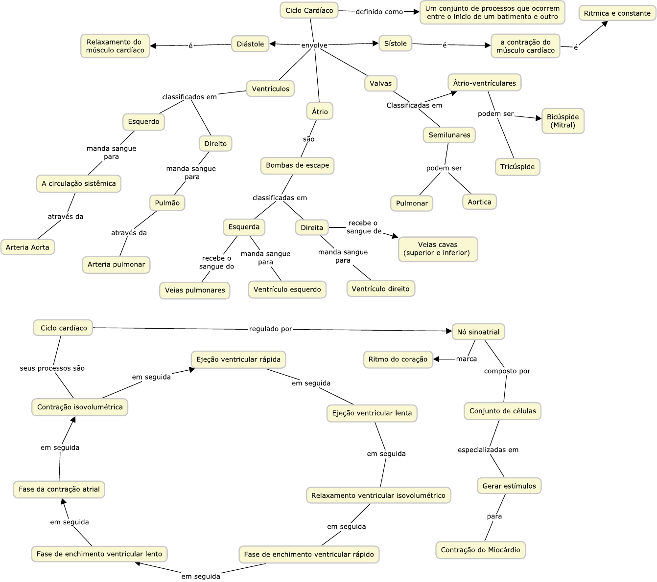 Ciclo Cardíaco - Mapa Mental - Fisiologia I