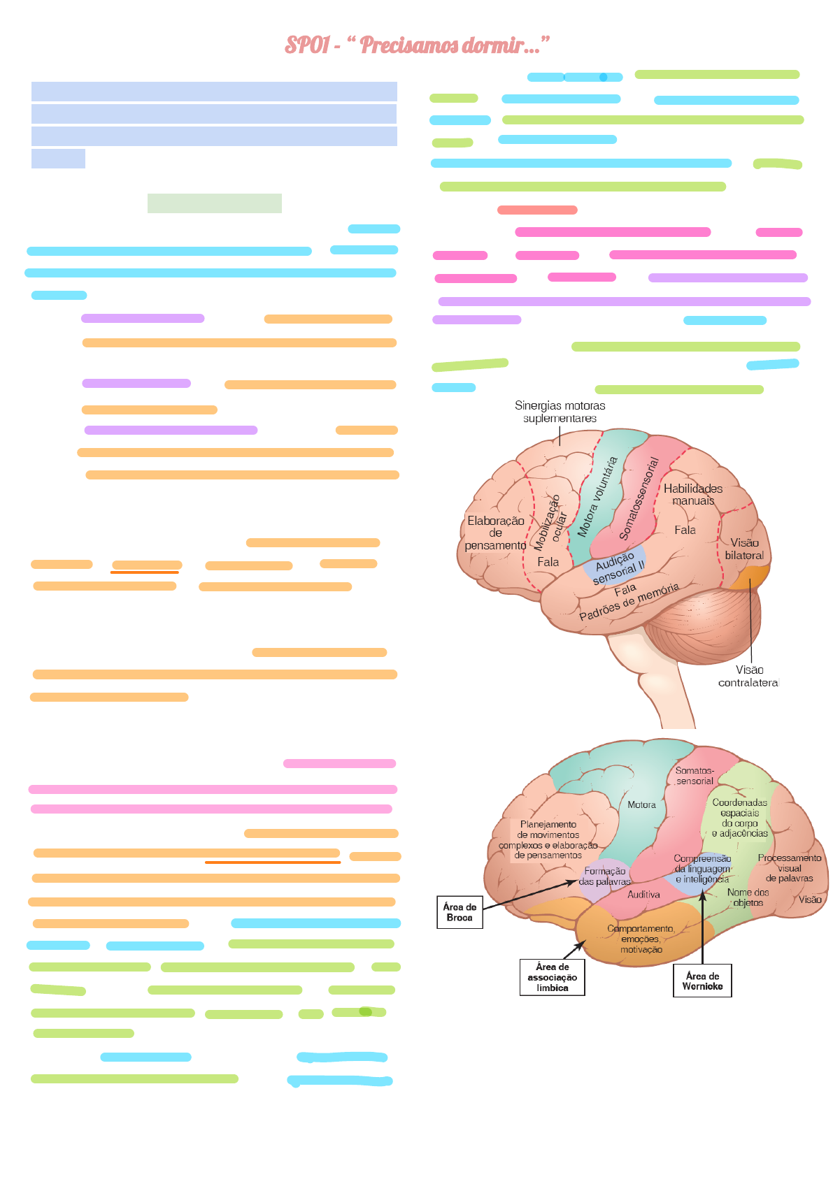 Jogos de Inteligência, PDF, Telencéfalo