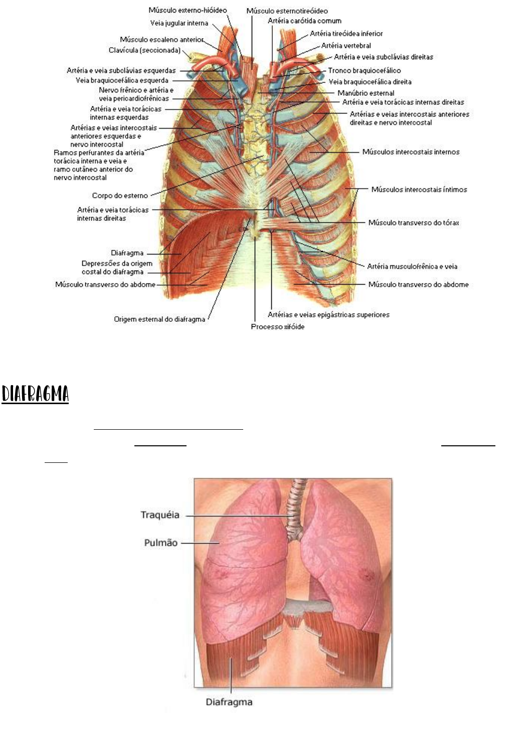 Paredes Diafragma moldadas “in loco” - Geosonda.com.br, image size:1053x1480
