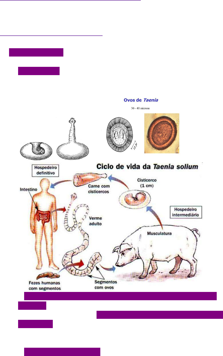 PPT - Parasitoses intestinais PowerPoint Presentation, free download -  ID:2176951, image size:887x1417