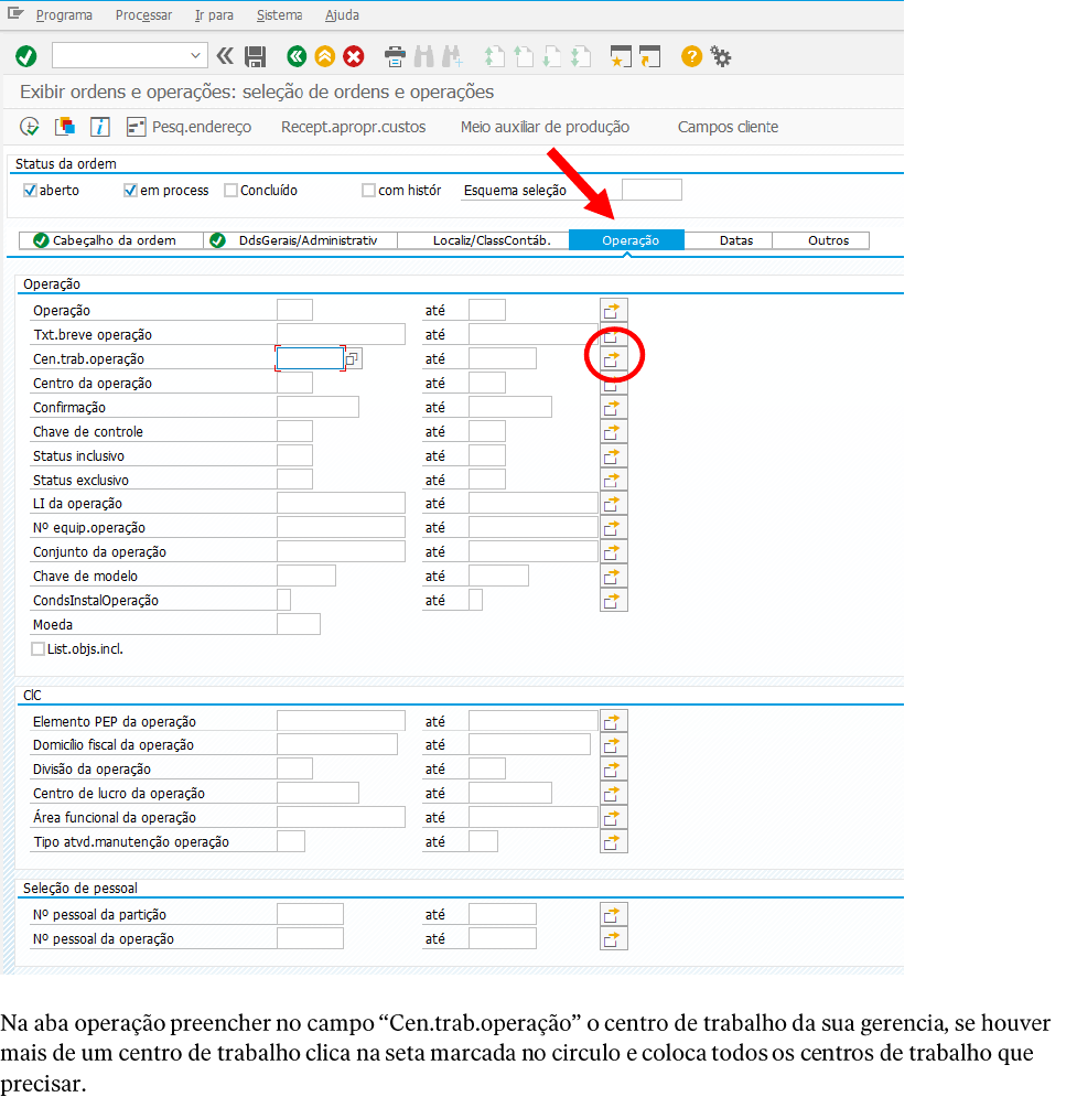 Passo a Passo para uso da Transação IW49N - Planejamento