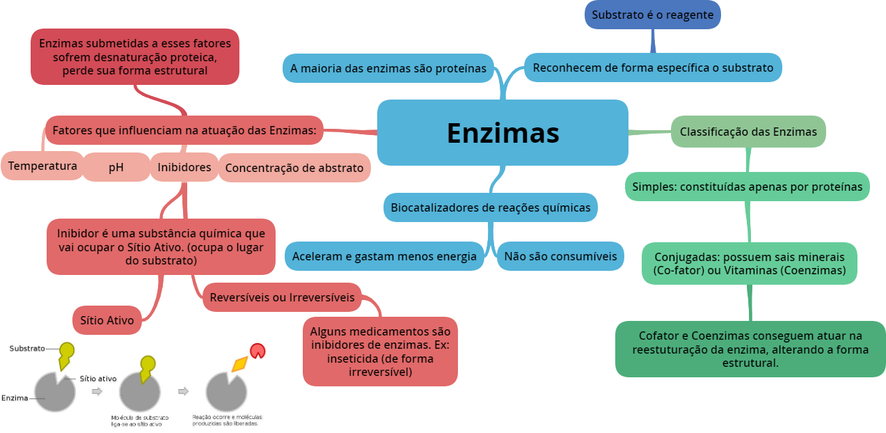 Quimosina – Wikipédia, a enciclopédia livre, image size:1273x622