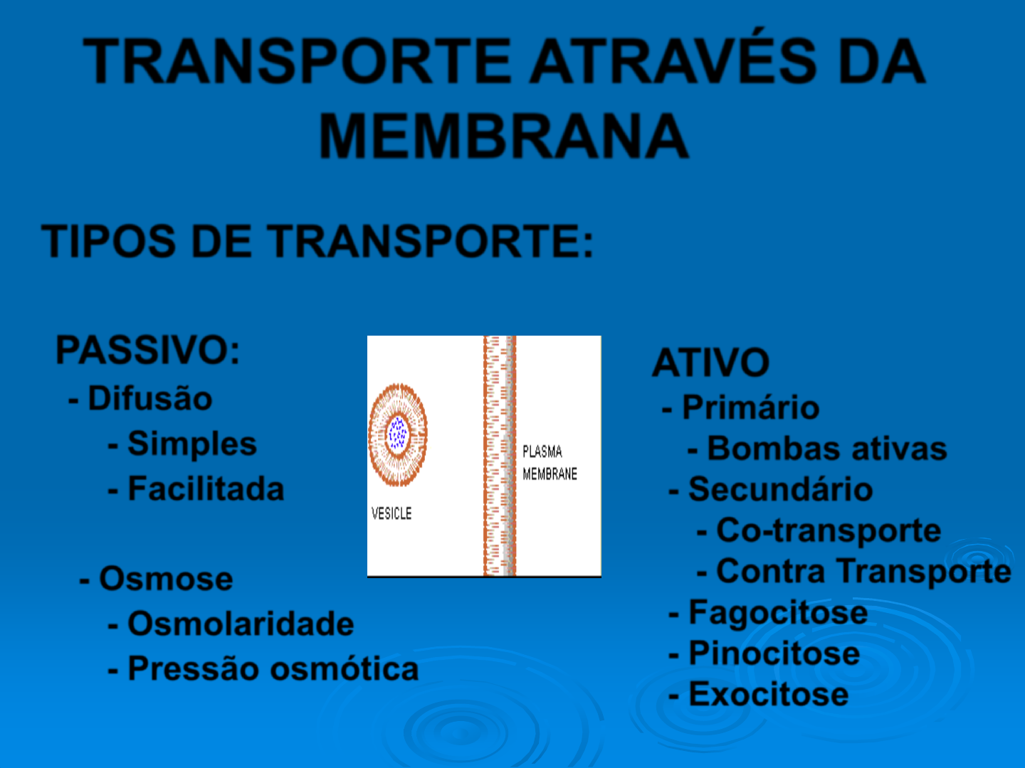 Grátis: Transporte através da Membrana - Material Claro e Objetivo em PDF  para Estudo Rápido, image size:1440x1080