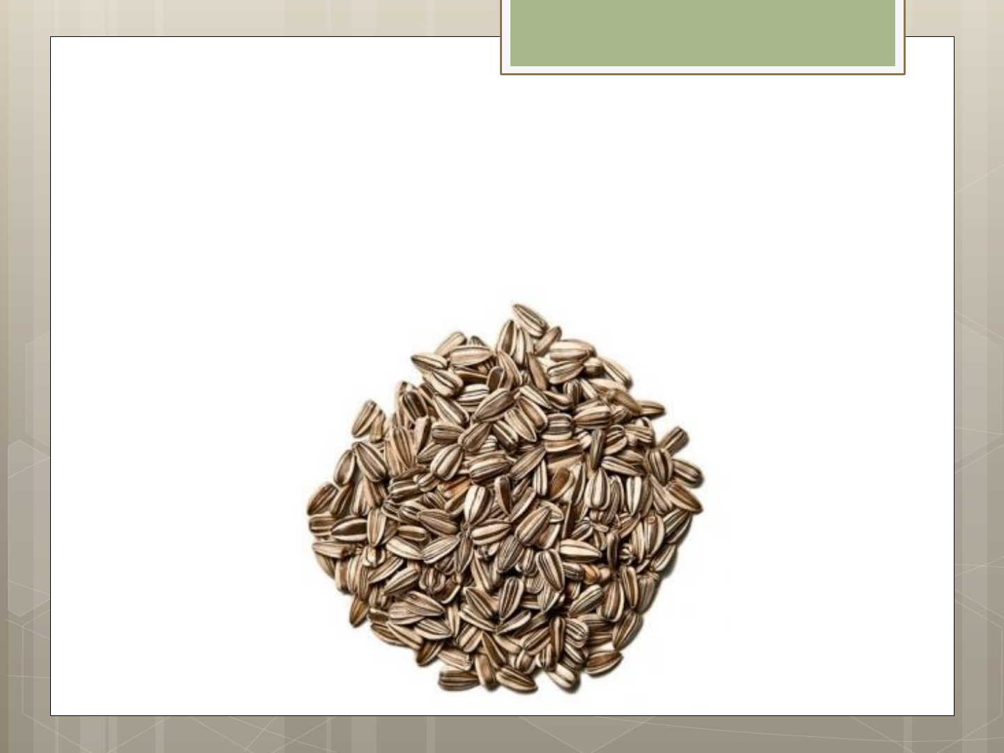 Desbravador ao Extremo: Especialidade de Sementes - Respondido, image size:1440x1080