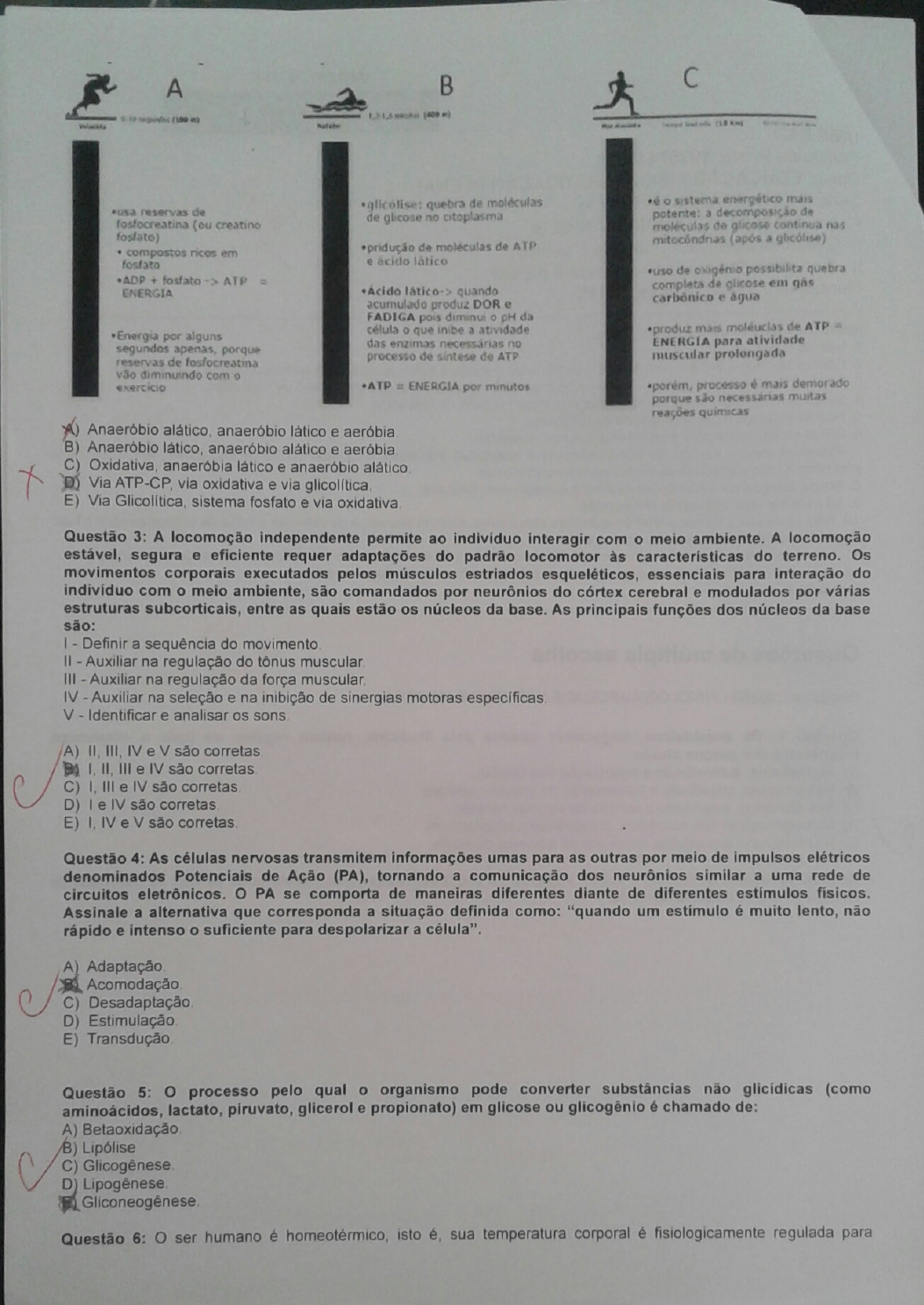 Ap Fisiologia Aplicada A Atividade Motora Unip Fisiologia Aplicada A Atividade Motora