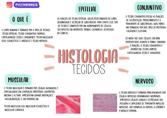 mapa mental histologia - Histologia I