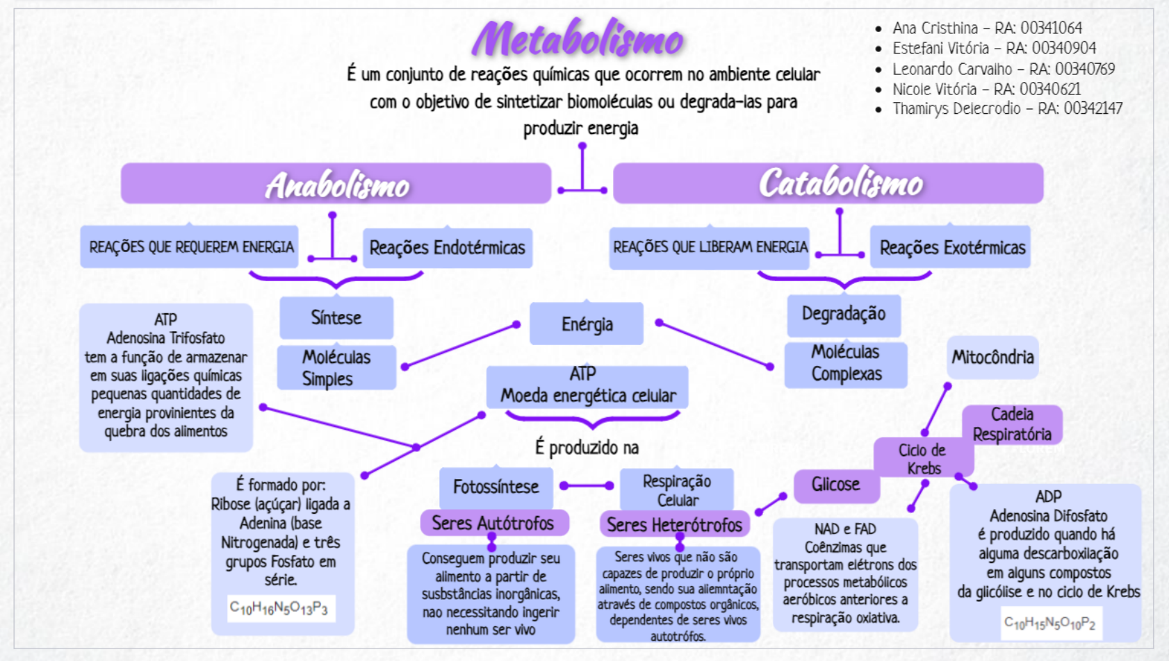 Mapa Mental Bioquímica Bioquímica I 5940