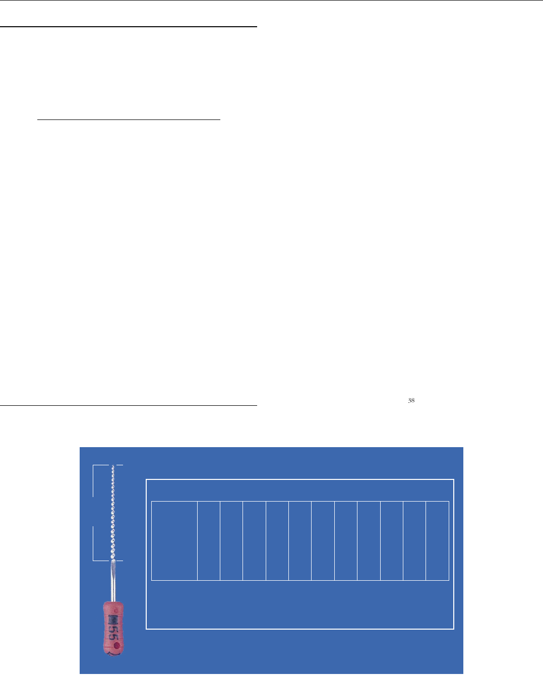 Grátis: Volume 2 - Material Claro e Objetivo em PDF para Estudo Rápido