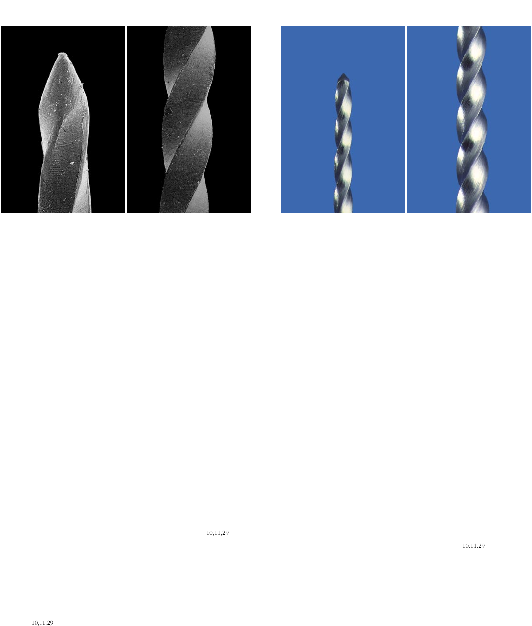Grátis: Volume 2 - Material Claro e Objetivo em PDF para