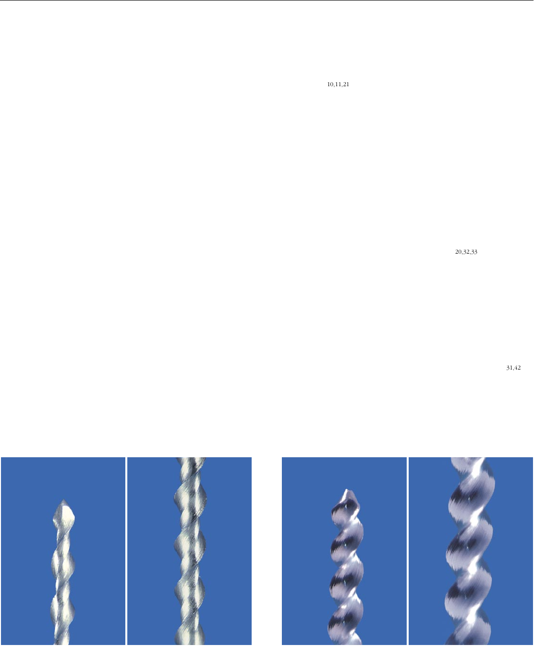 【SALE】 Grátis: Volume 2 - Material Claro e Objetivo em PDF para その他