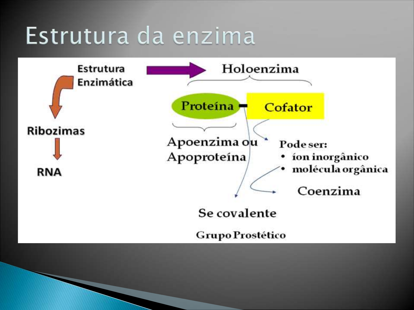 Grátis: Bioquímica - Enzimas - Material Claro e Objetivo em PDF para Estudo  Rápido, image size:1440x1080