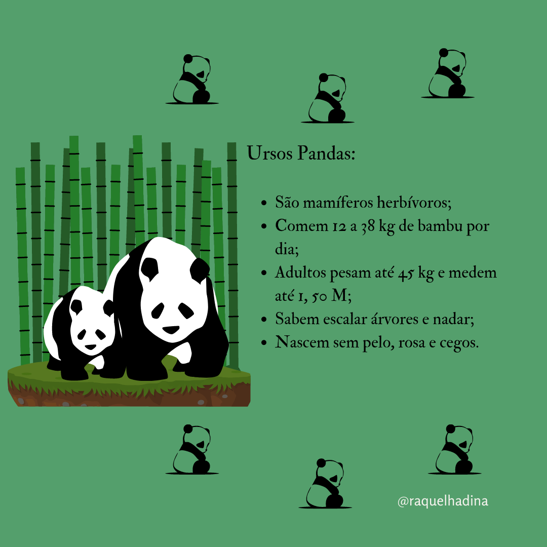 Urso panda: características, reprodução, curiosidades - Escola Kids