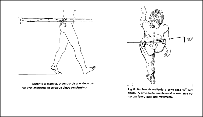 Coluna vertebral PUC Rio - Fisioterapia