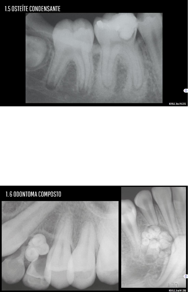42º CBACV - Congresso Brasileiro de Angiologia e Cirurgia Vascular, image size:721x1115