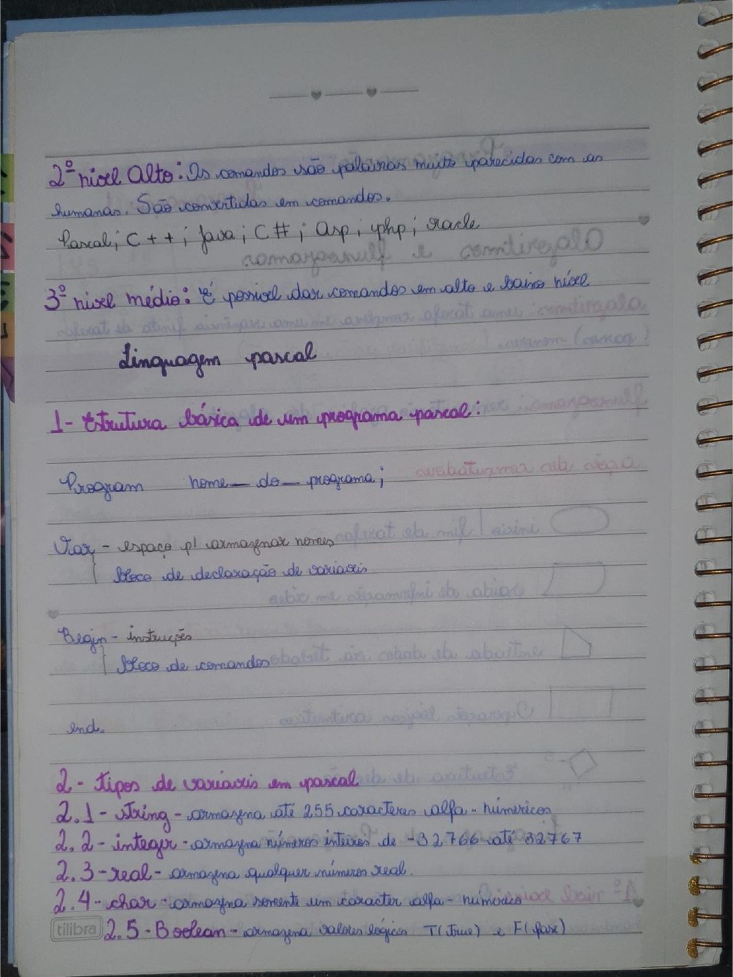 Programa o linguagem pascal programa o i