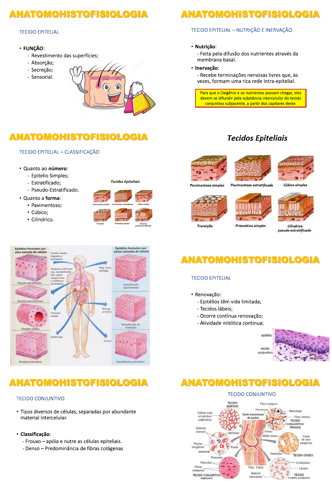 AULA 1 - Sistema Tegumentar - Sistema Tegumentar