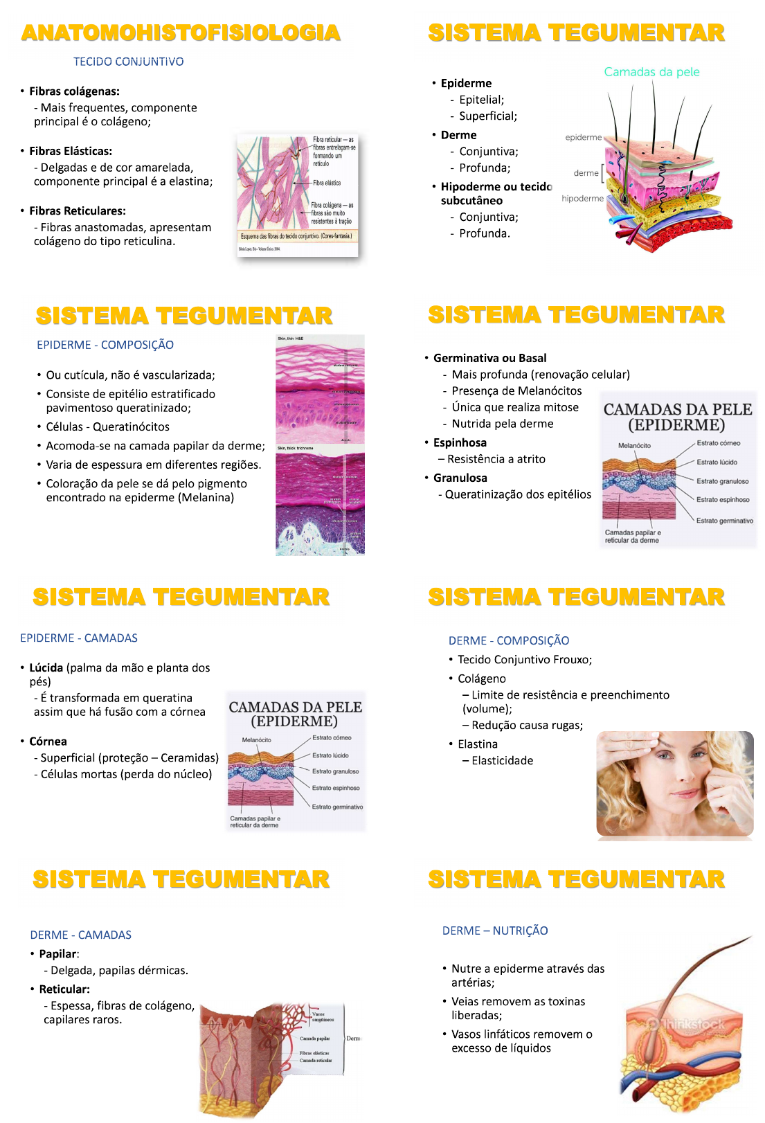 AULA 1 - Sistema Tegumentar - Sistema Tegumentar