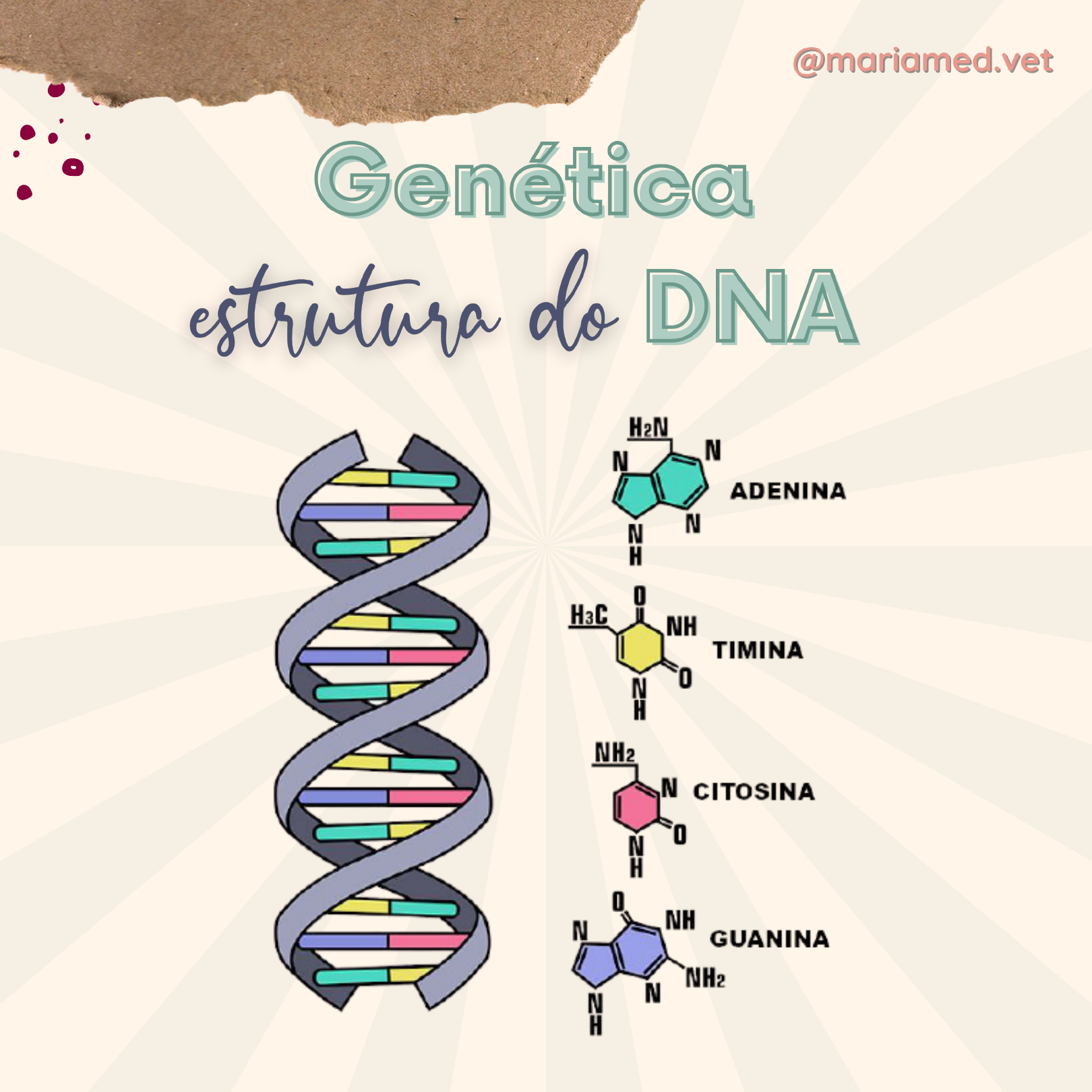 Estrutura Do DNA - Genética I