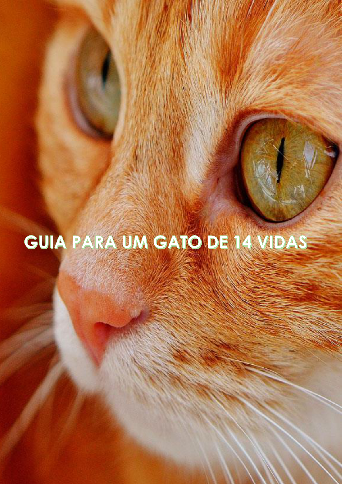 Guia para um gato de 14 vidas pdf by ometodox1 - Issuu