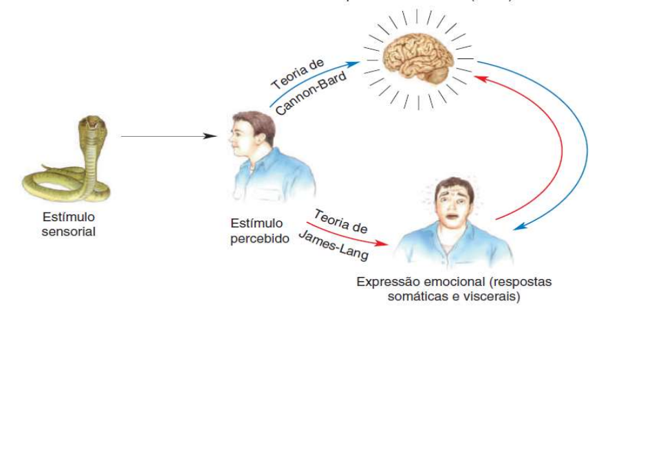 NPOFB - Temperamento e comportamento; instinto, condicionamento, nervos e  coragem.